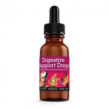 DIGESTIVE SUPPORT Drops 